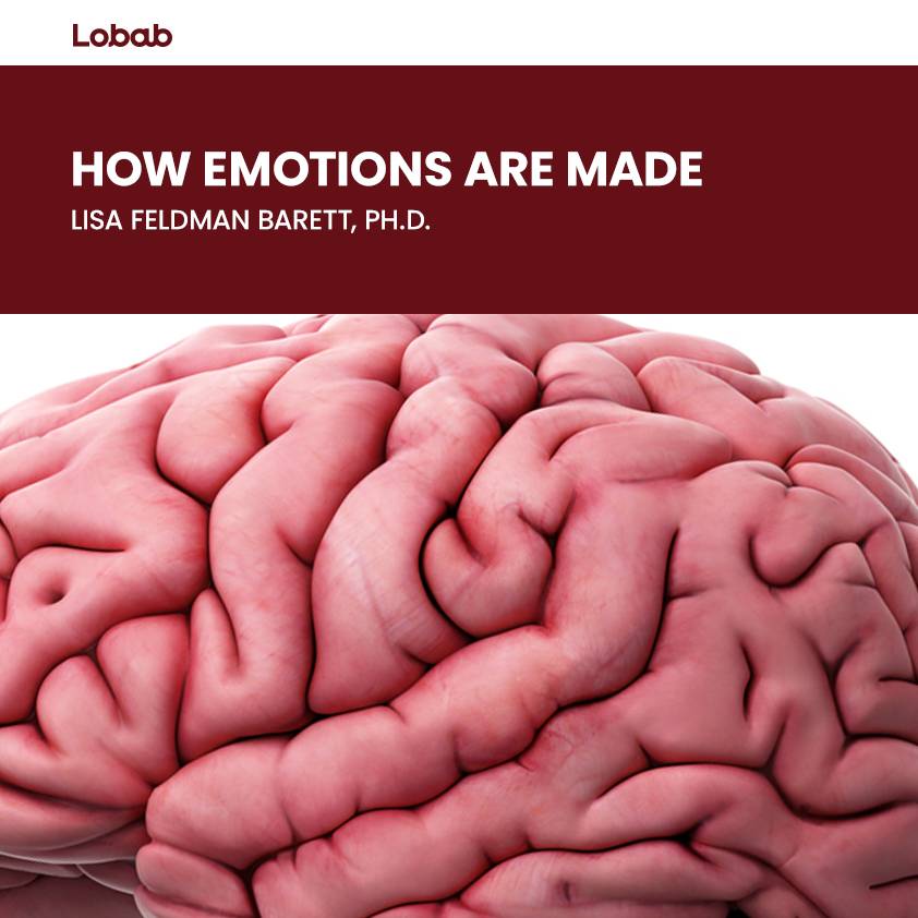 How Emotions Are Made